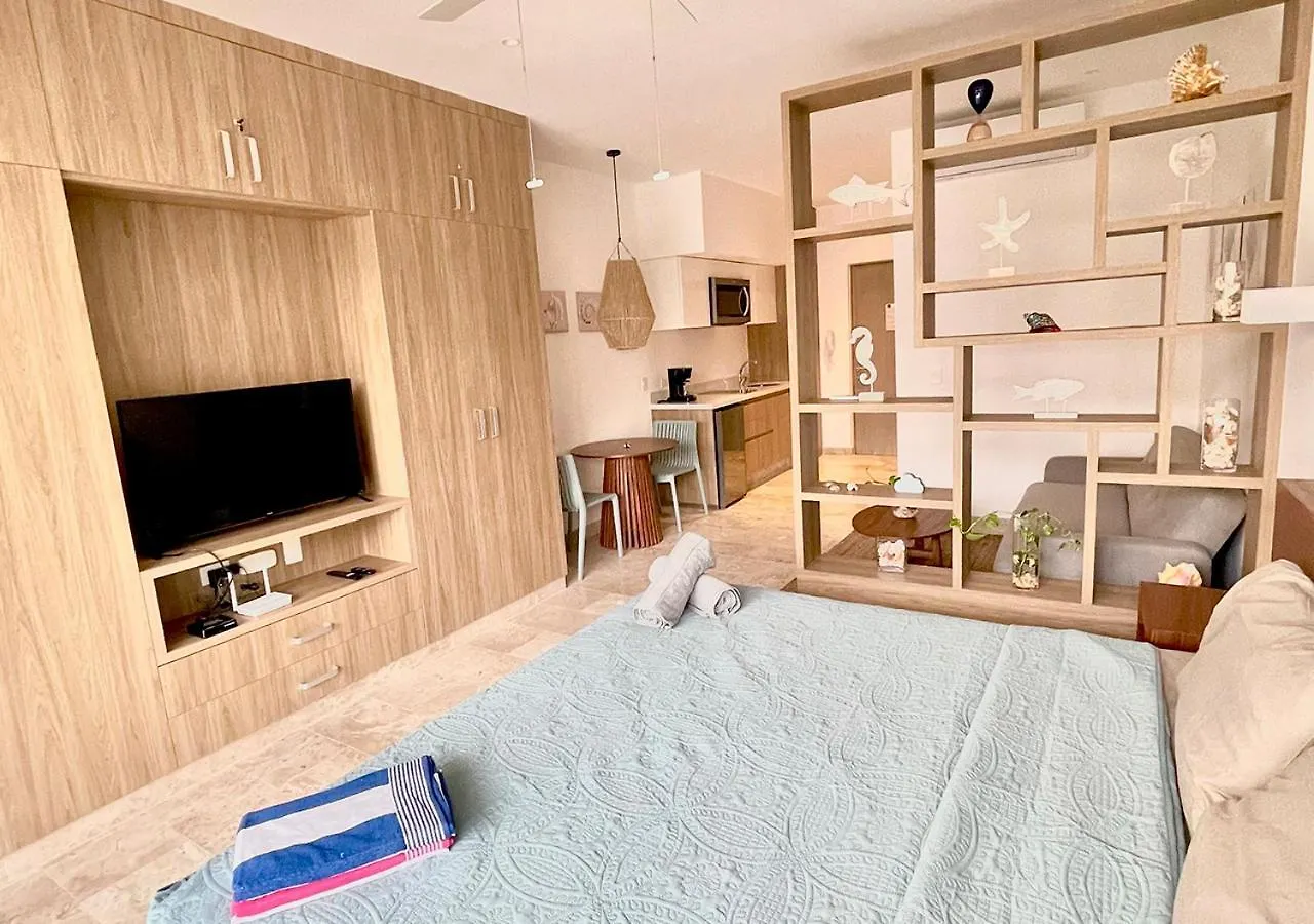 Delightful Luxury Condo Studio In Downtown Heart P06 Playa del Carmen